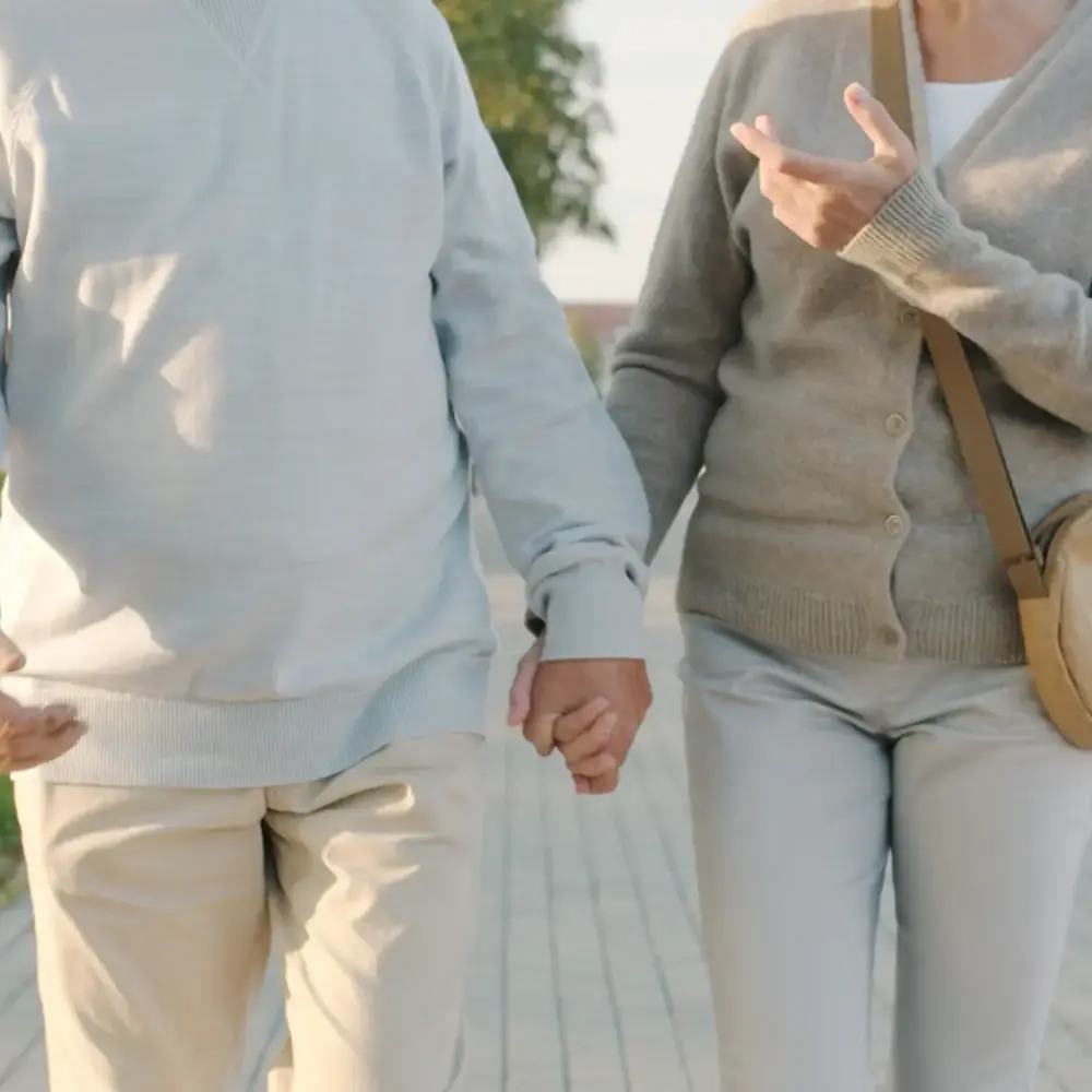 banner-blomstra-1